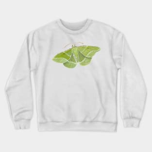 Showy Emerald Moth Crewneck Sweatshirt